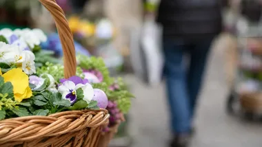 Blisko 50 stowarzyszeń w jednym miejscu. Tłumy na pikniku w Bełchatowie
