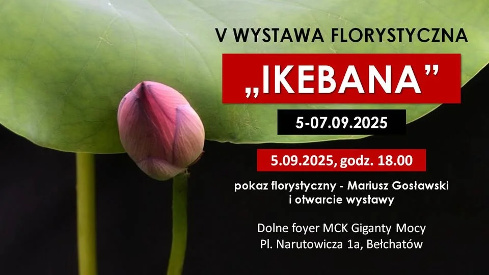 Obrazek przedstawia grafikę promocyjną wydarzenia Wystawa ikebany – japońska sztuka układania kwiatów w Bełchatowie