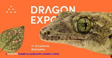 Grafika promocyjna wydarzenia Dragon Expo w Bełchatowie: terrarystyka i botanika w jednym miejscu