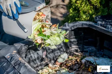 Bełchatów dopłaca do kompostowników. Można dostać do 600 zł