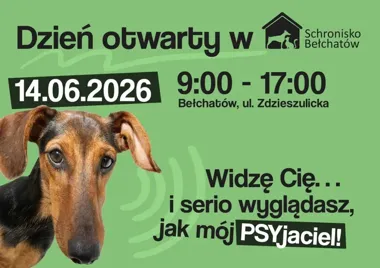 W schronisku czeka ponad 300 zwierząt. To może być dzień ważnych decyzji