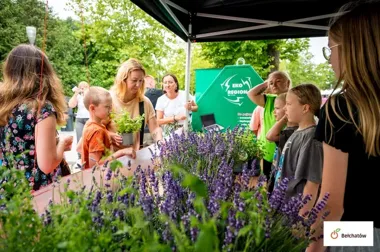 Bełchatów szykuje zielone targi. Rośliny spotkają zdrowie i relaks