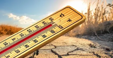 Upał drugiego stopnia w powiecie bełchatowskim. Temperatura sięgnie 34 stopni