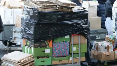 Blisko 6000 sadzonek za makulaturę. Powiatowa akcja wraca do Bełchatowa