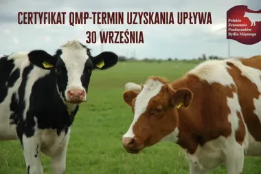 Brak certyfikatu QMP oznacza utratę dopłaty. Rolnicy muszą zdążyć