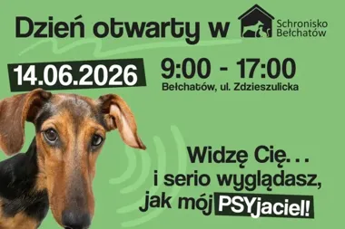 Dzień otwarty w bełchatowskim schronisku. Psy czekają na dom