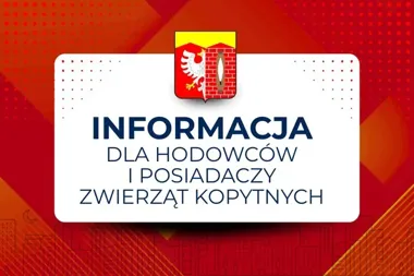 Hodowcy z powiatu bełchatowskiego mają czas do 18 czerwca. Rusza rejestracja zwierząt kopytnych