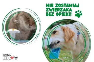 Upały zagrażają zwierzętom. W Zelowie liczy się kilka prostych gestów
