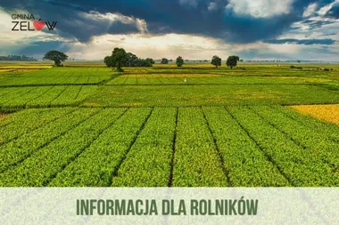 Zelowscy rolnicy mogą zgłaszać straty po przymrozkach. Ważny jest każdy załącznik