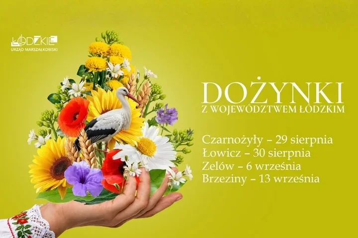Zelów w centrum dożynkowego święta i region rozłoży plony na cztery sceny